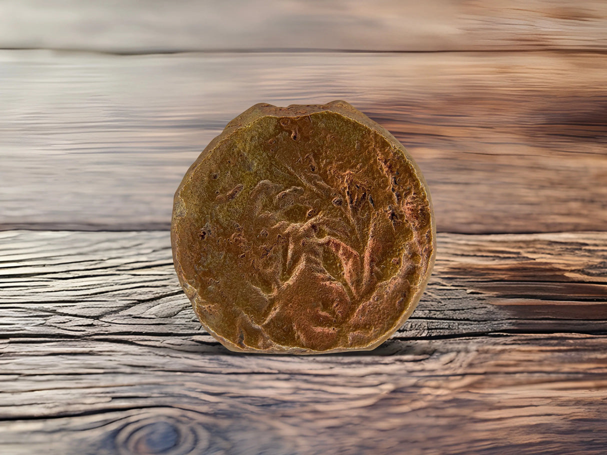 Pontius Pilate Coins Holy Coins