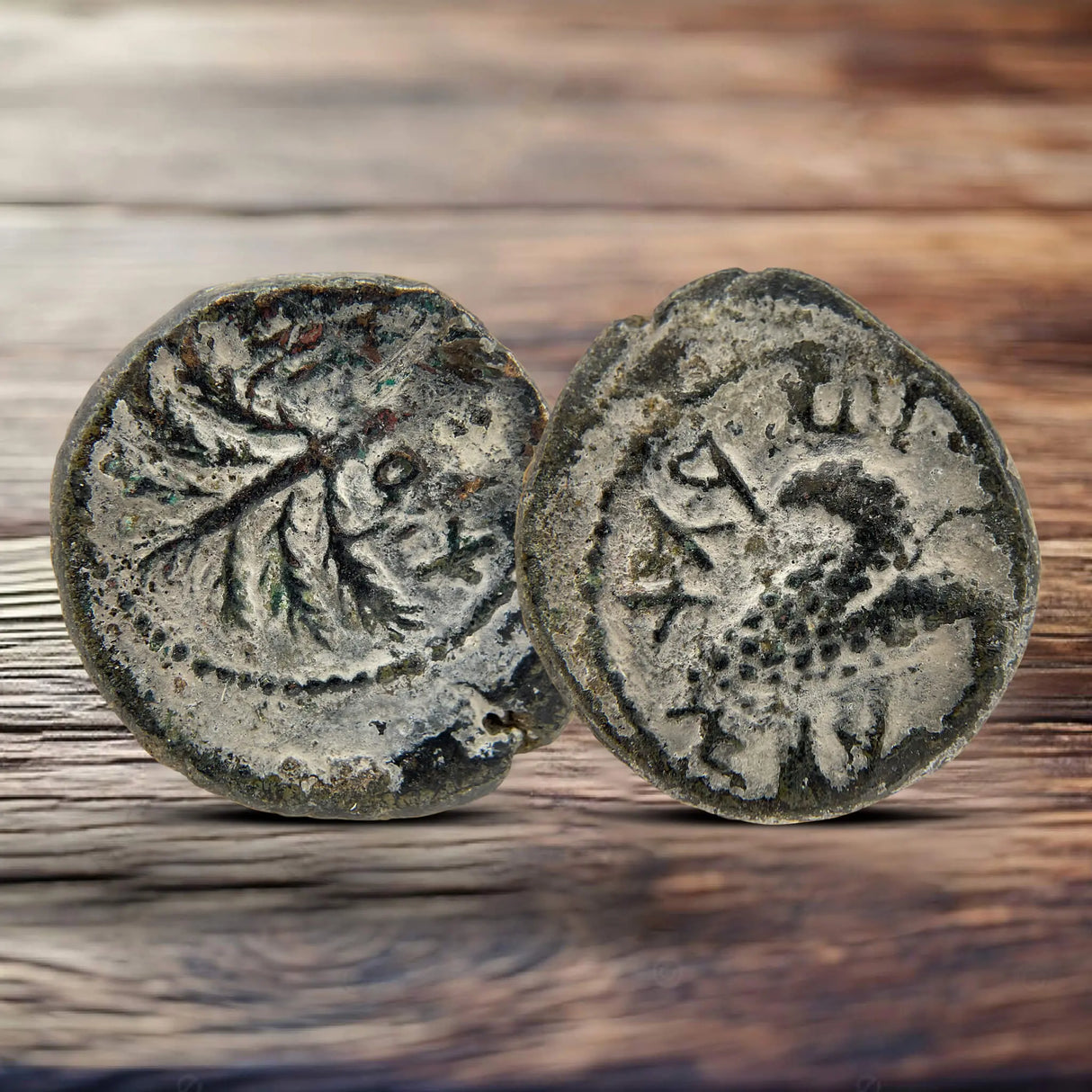 Masada Prutah Coins Holy Coins