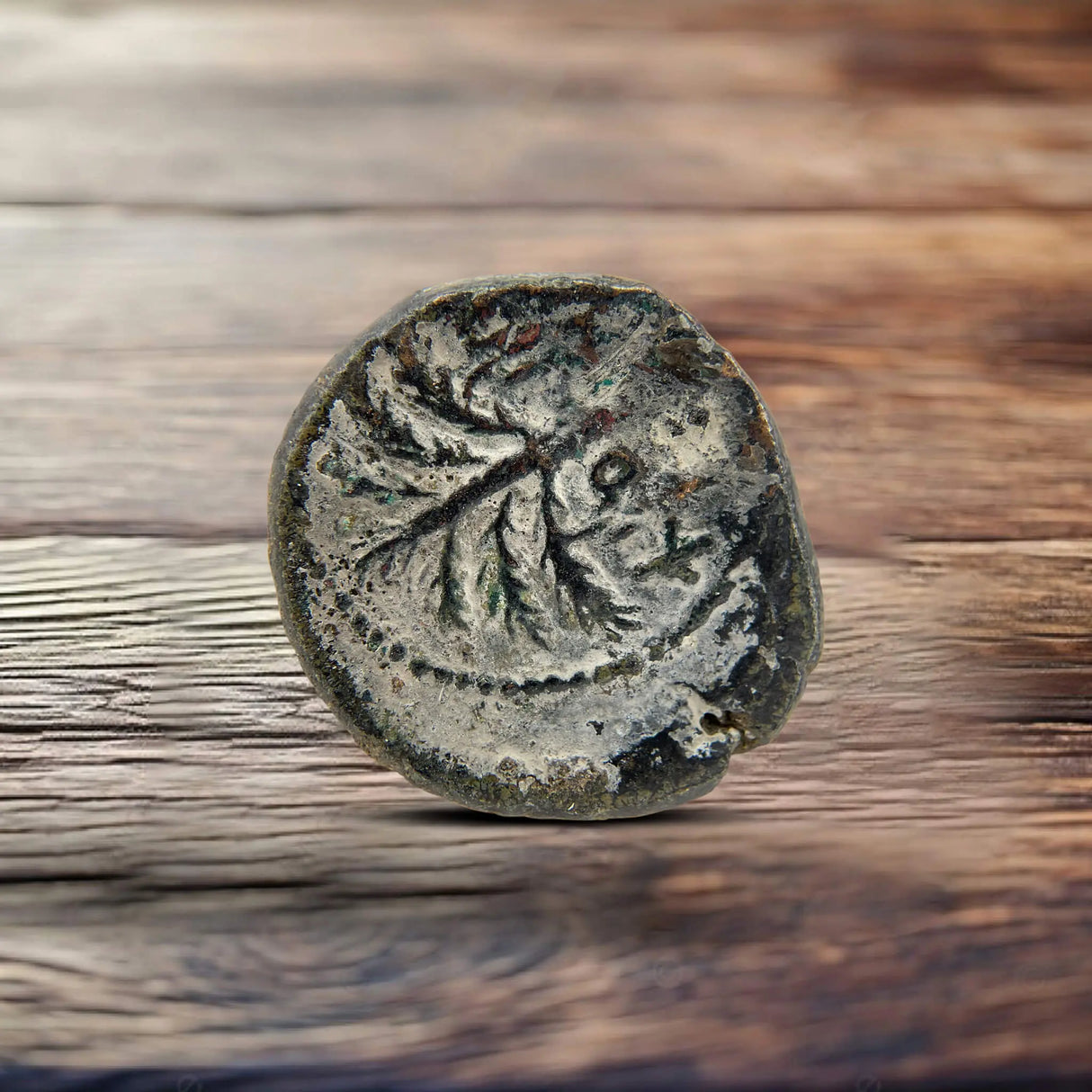 Masada Prutah Coins Holy Coins