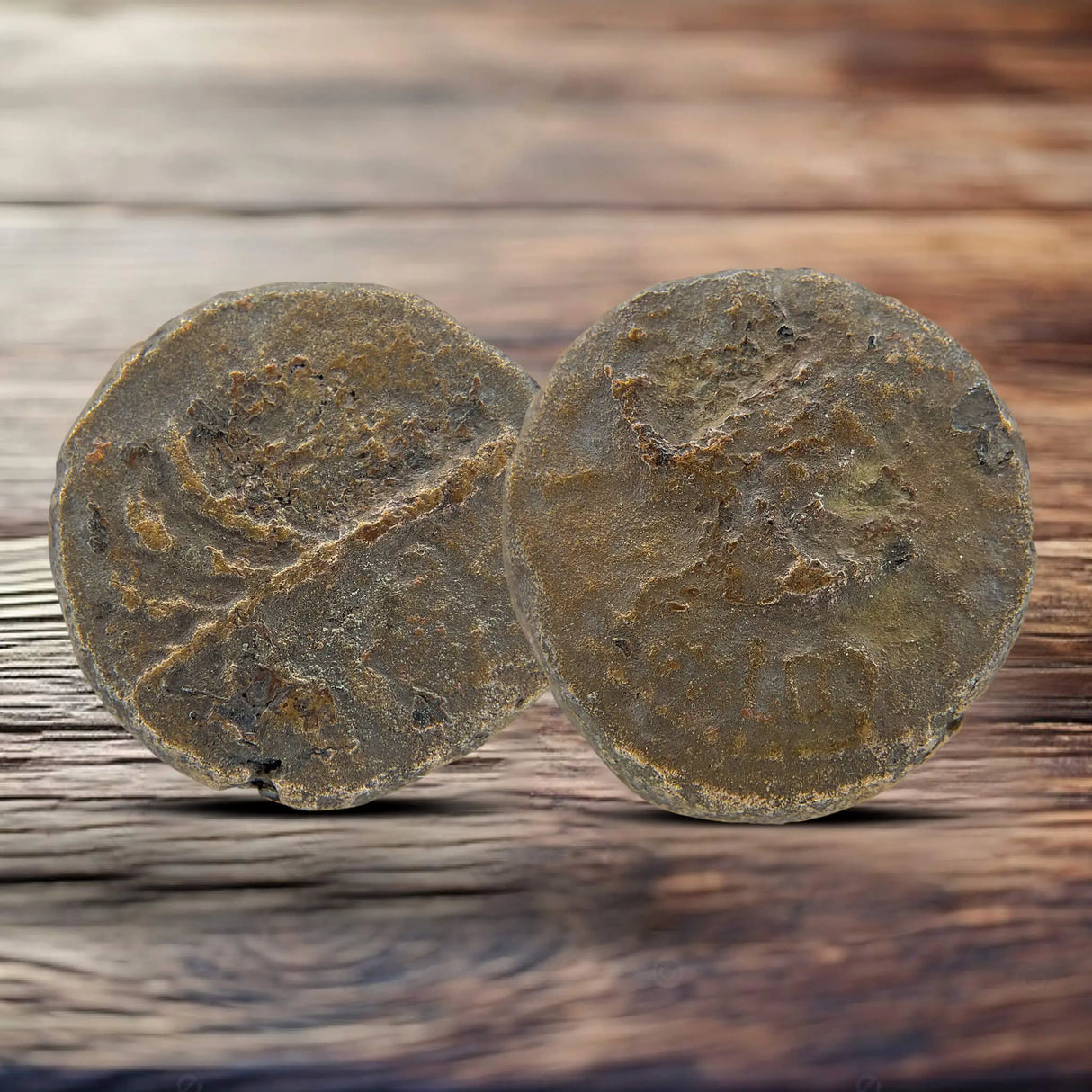 Masada Prutah Coins Holy Coins