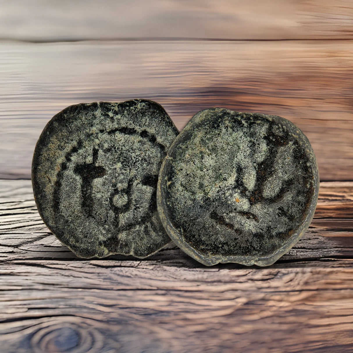 Herod Agrippa Coins Holy Coins