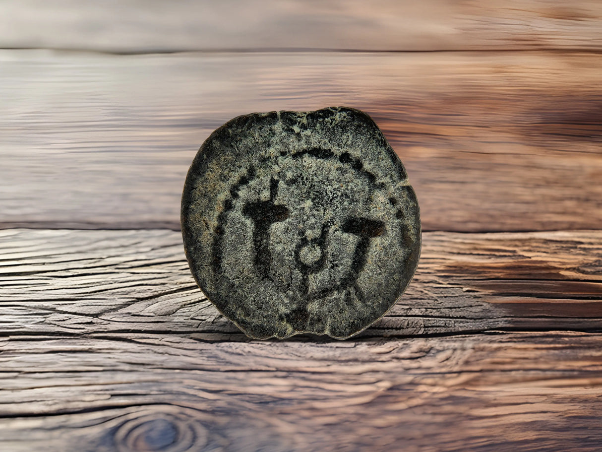 Herod Agrippa Coins Holy Coins