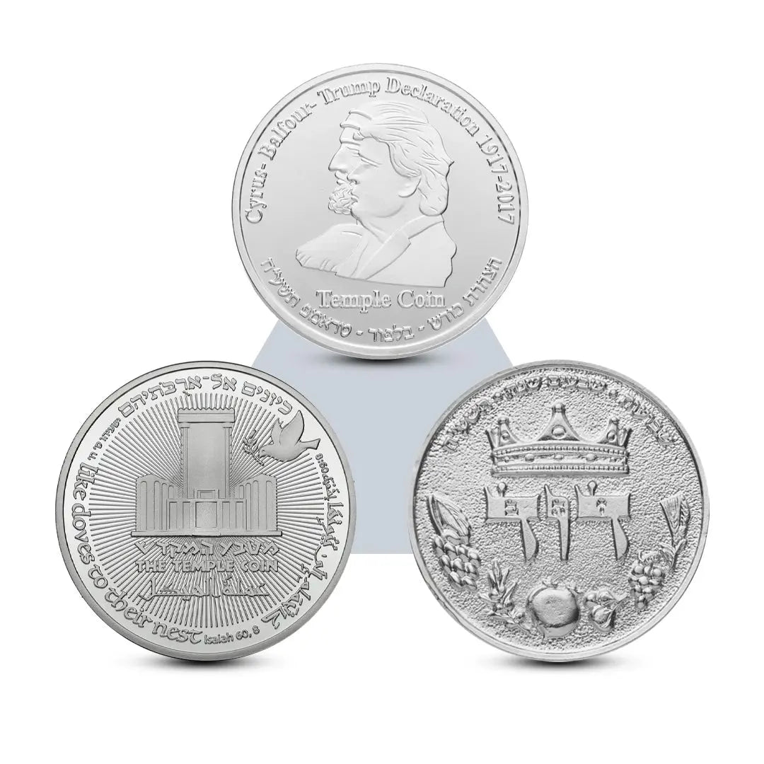 Legacy of Heroes Set Temple Coins