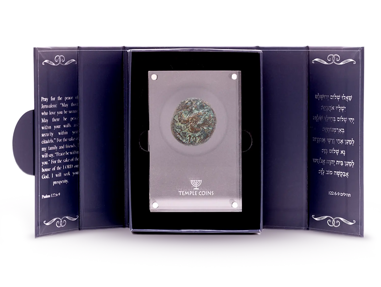 Masada Prutah Coins Holy Coins