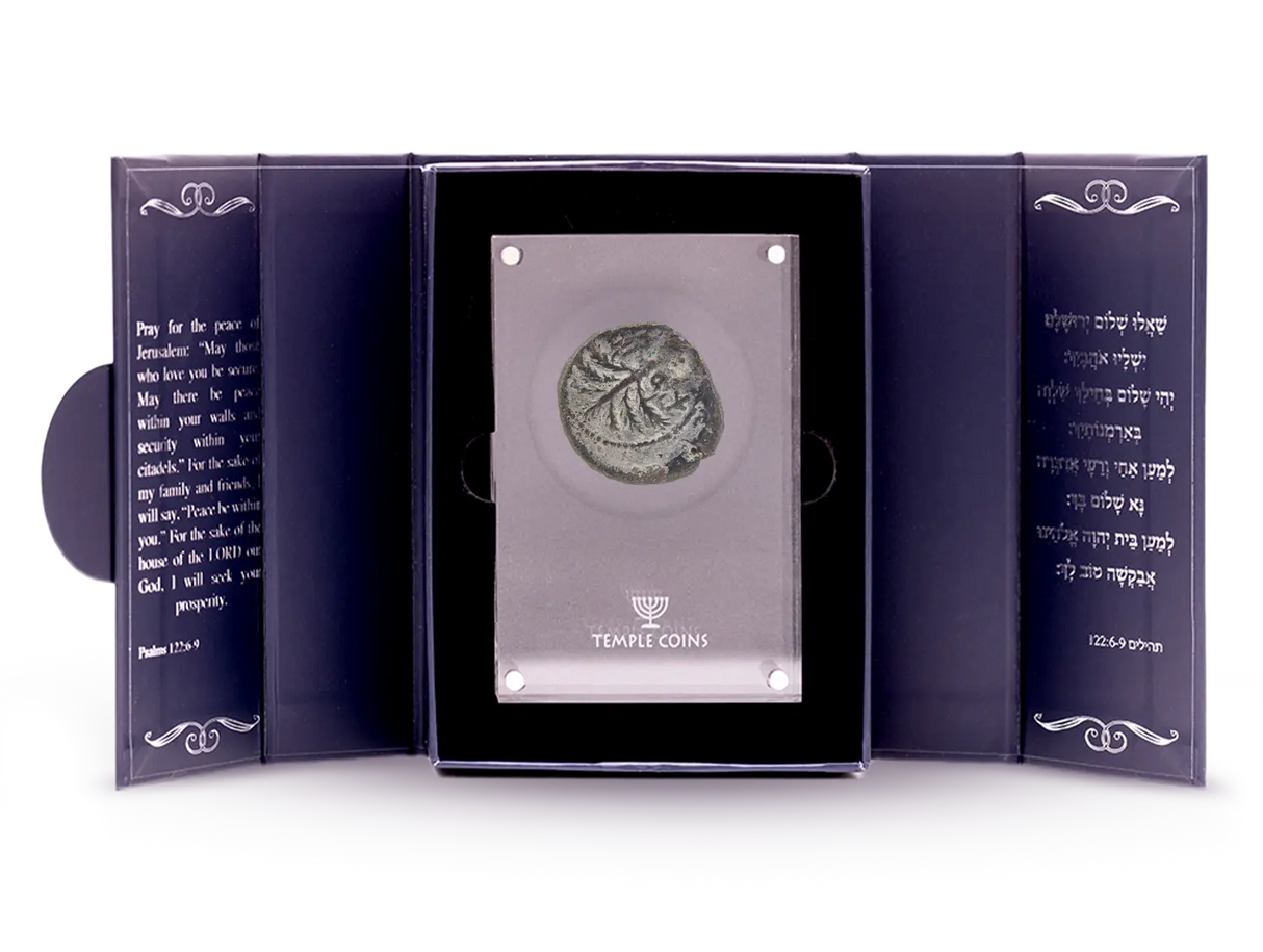 Prutah of Porcius Festus Holy Coins