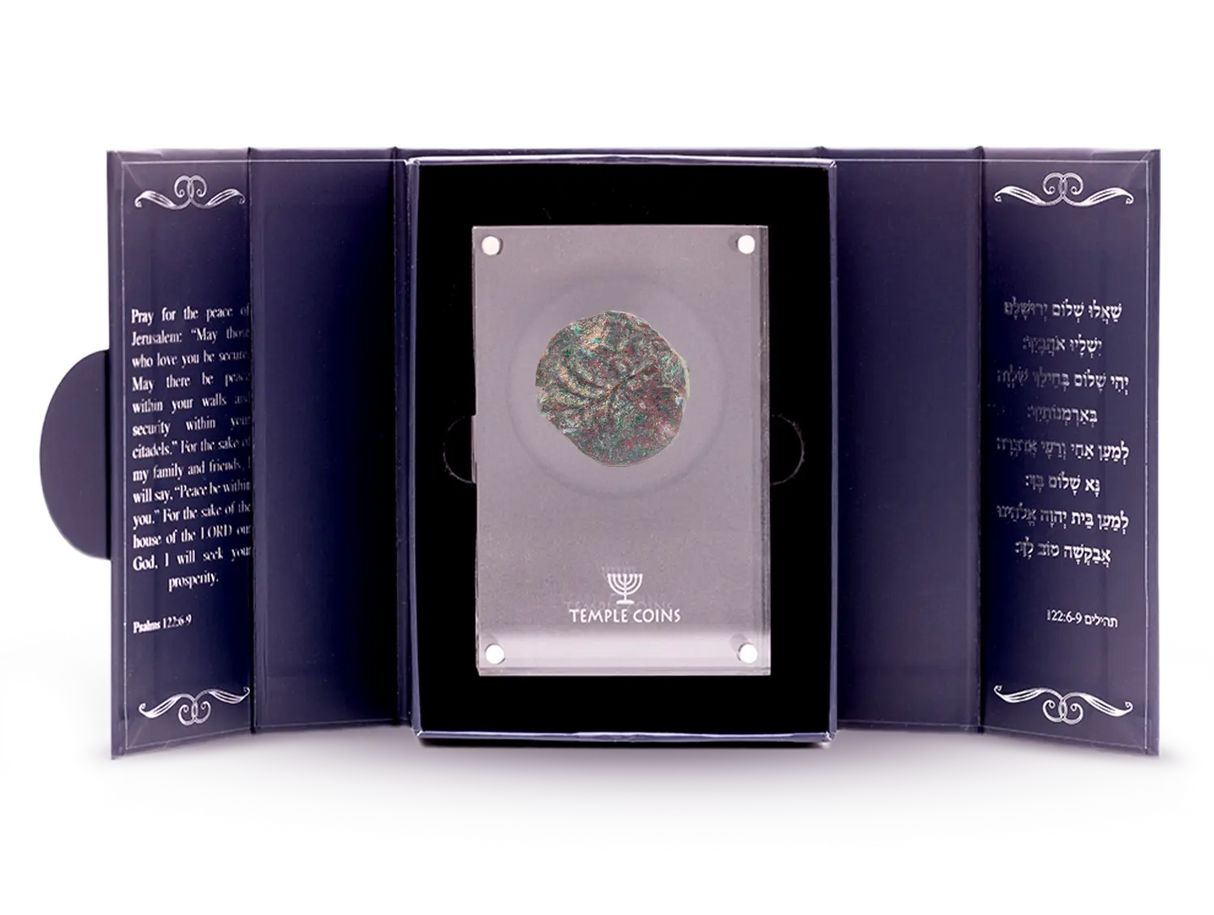 Masada Prutah Coins Holy Coins