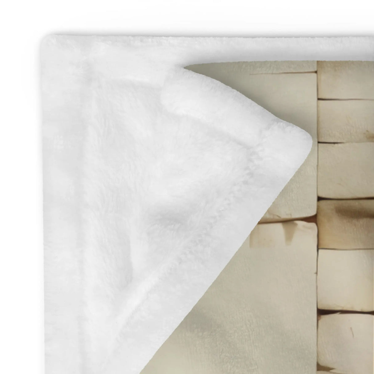 Lion of Judah Throw Blanket The Israel Store