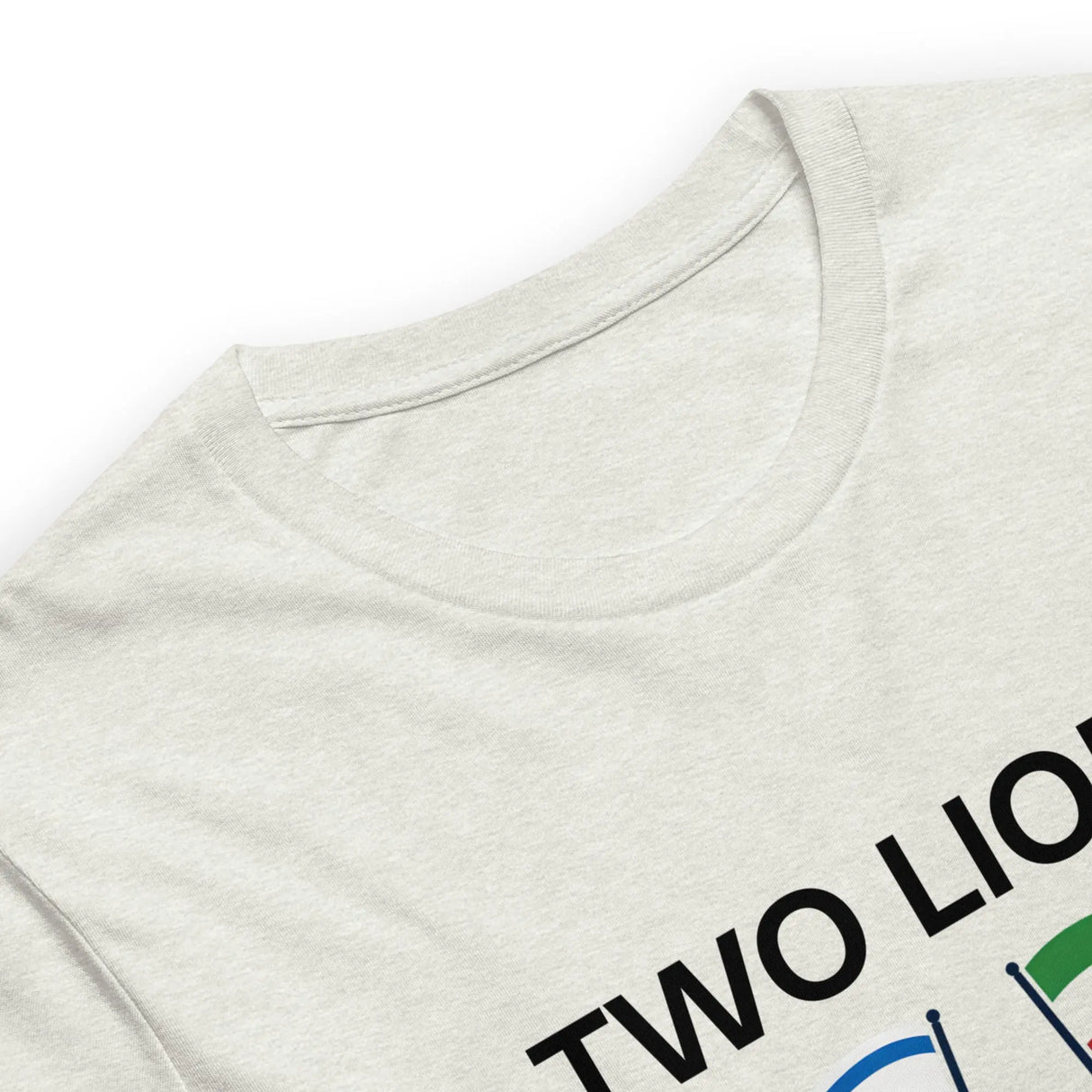Two Lions One Cause T-Shirt – Israel & Iran Unity Shirt The Israel Store