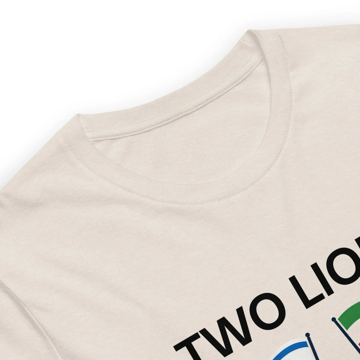 Two Lions One Cause T-Shirt – Israel & Iran Unity Shirt The Israel Store