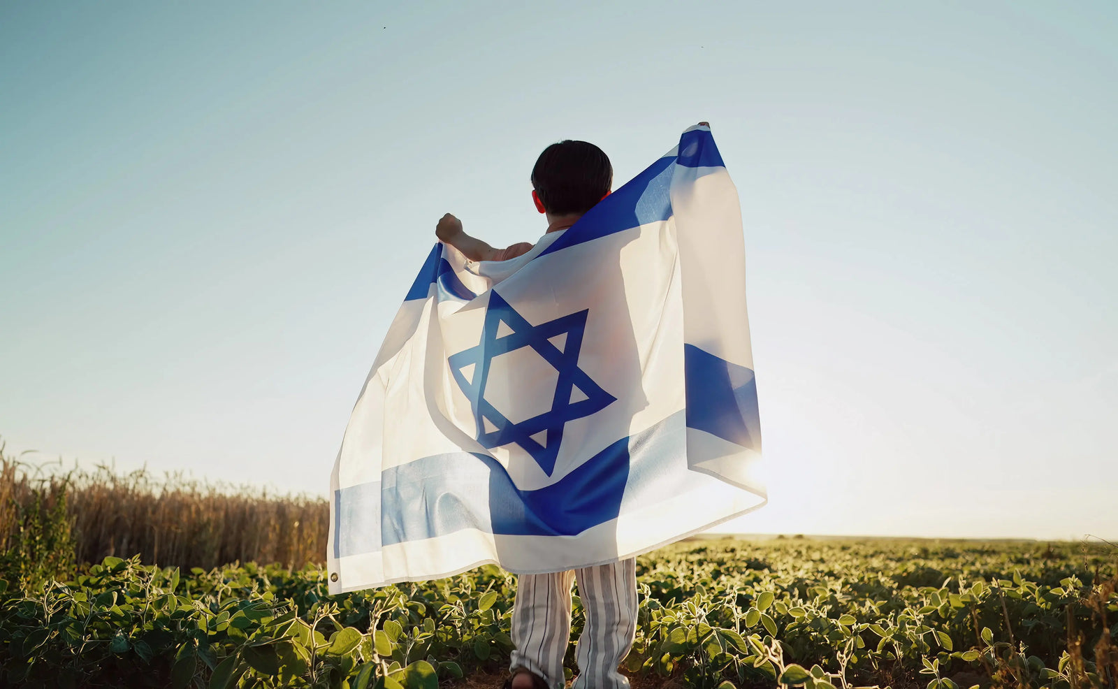 What-Does-The-Flag-Of-Israel-Really-Mean The Israel Store