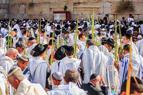 The Sukkot Guide That Explains Why Jerusalem Comes Alive Every Fall The Israel Store