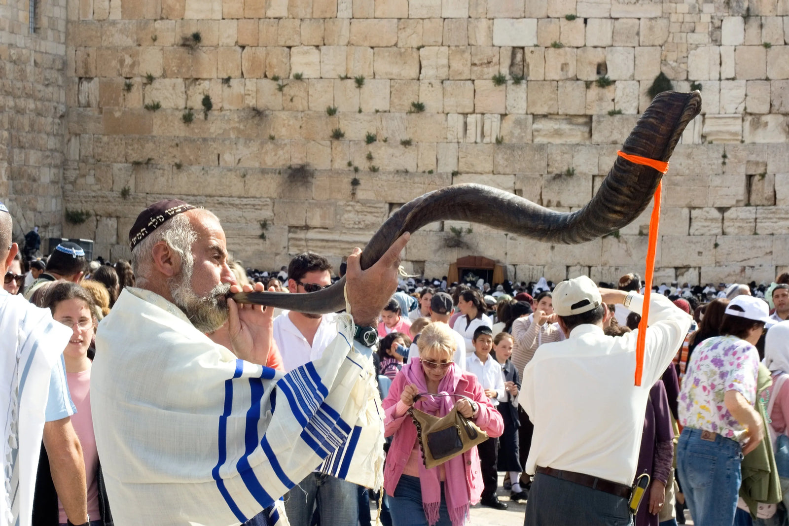  An orthodox religious Jew wearing a prayer shawl draped blow the shofar (horn).