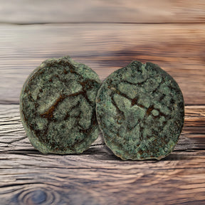 Herod Agrippa Coins Holy Coins