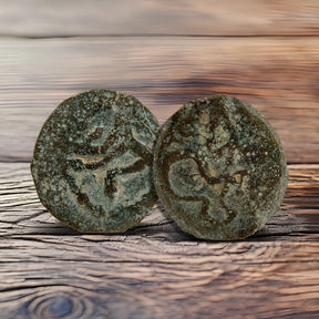 Herod the Great Coins Holy Coins