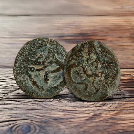 Herod the Great Coins Holy Coins