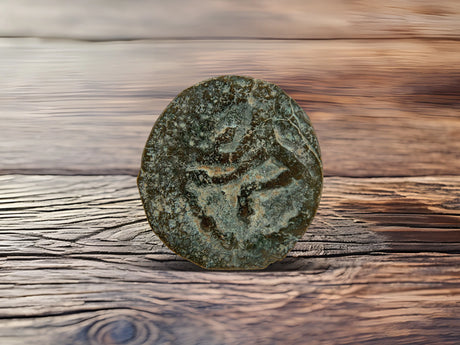 Herod the Great Coins Holy Coins