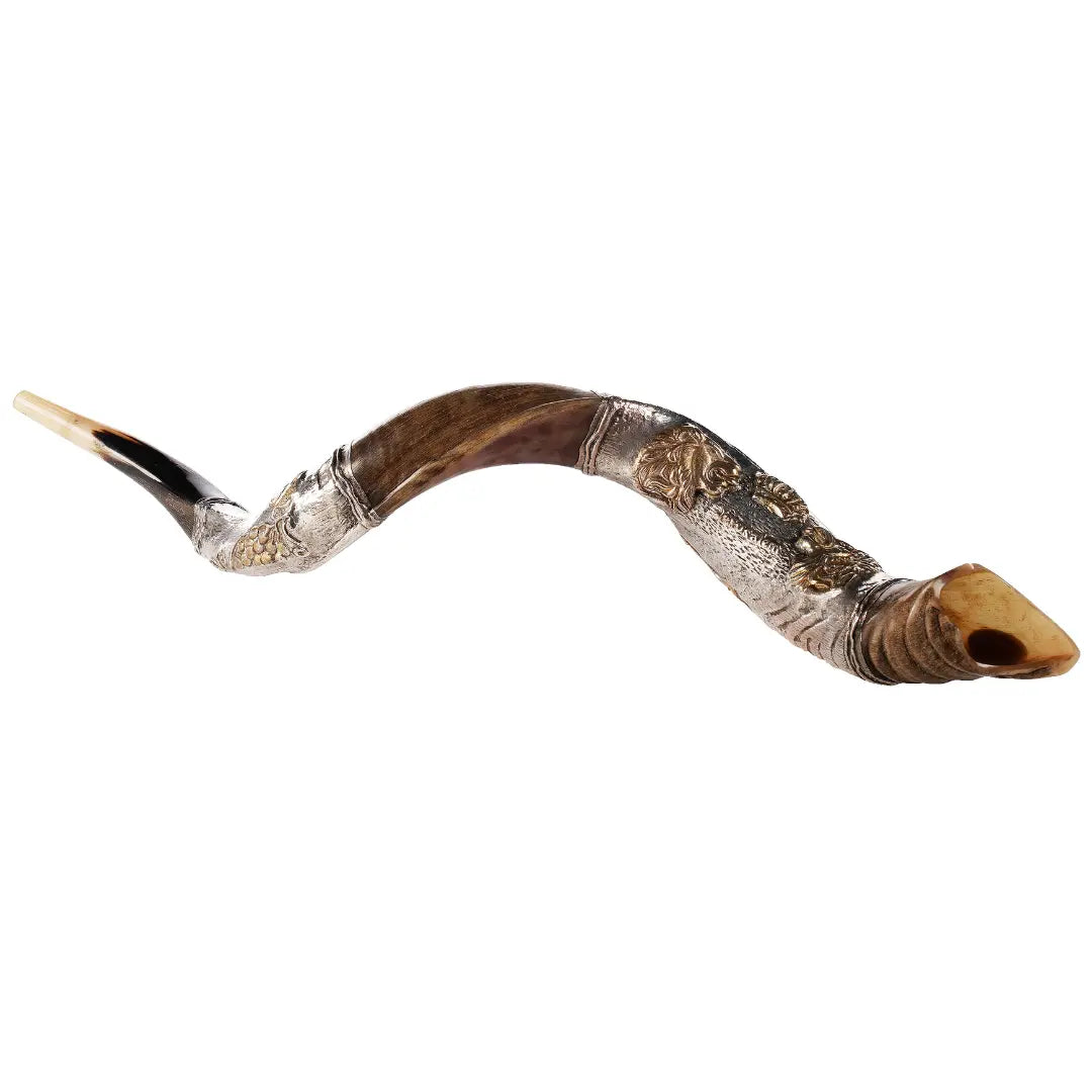 Silver-Plated Kudu Shofar 27"-31" / 70-79 cm - MADE IN ISRAEL The Israel Store