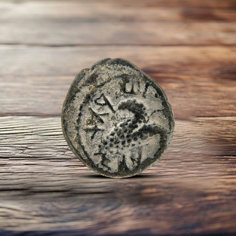Bar Kokhba Revolt Coins Holy Coins