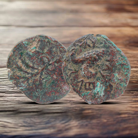 Masada Prutah Coins Holy Coins