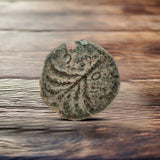 Bar Kokhba Coins Holy Coins