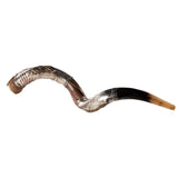 Silver-Plated Kudu Shofar 27"-31" / 70-79 cm - MADE IN ISRAEL The Israel Store