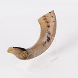 Ram’s Horn Shofar 11"-13" / 30-34 cm - MADE IN ISRAEL The Israel Store