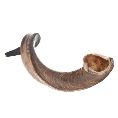 Kudu Shofar 31"-35" / 80-89 cm - MADE IN ISRAEL The Israel Store