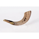 Ram’s Classical Horn Shofar Size 3 - MADE IN ISRAEL The Israel Store