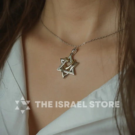Sterling Silver Star of David & Heart Necklace The Israel Store
