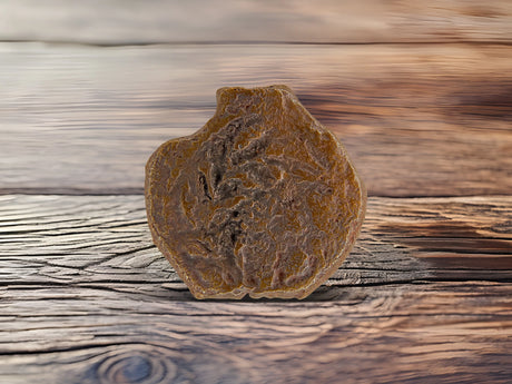 Pontius Pilate Coins Holy Coins