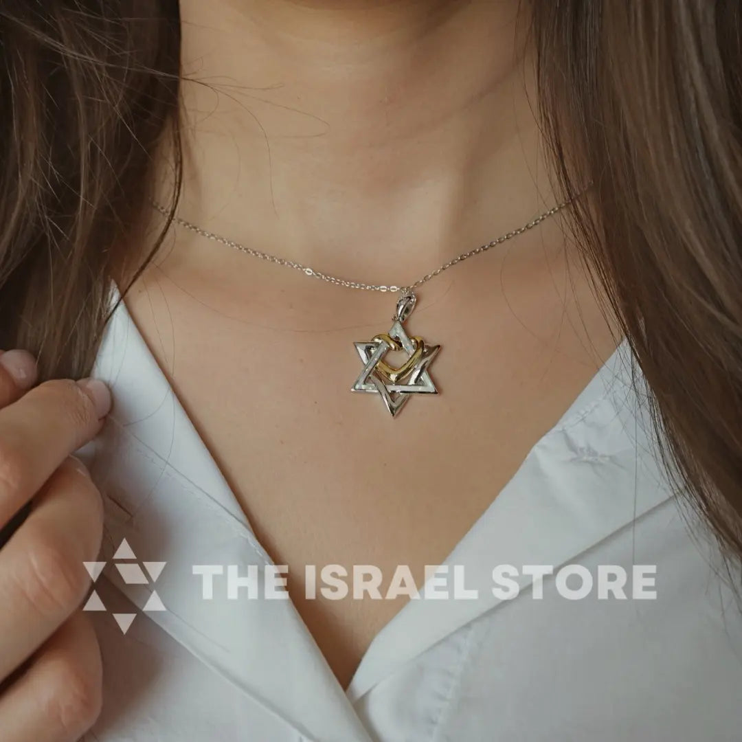 Star of David Sterling Silver Necklace - Heart Design – The Israel