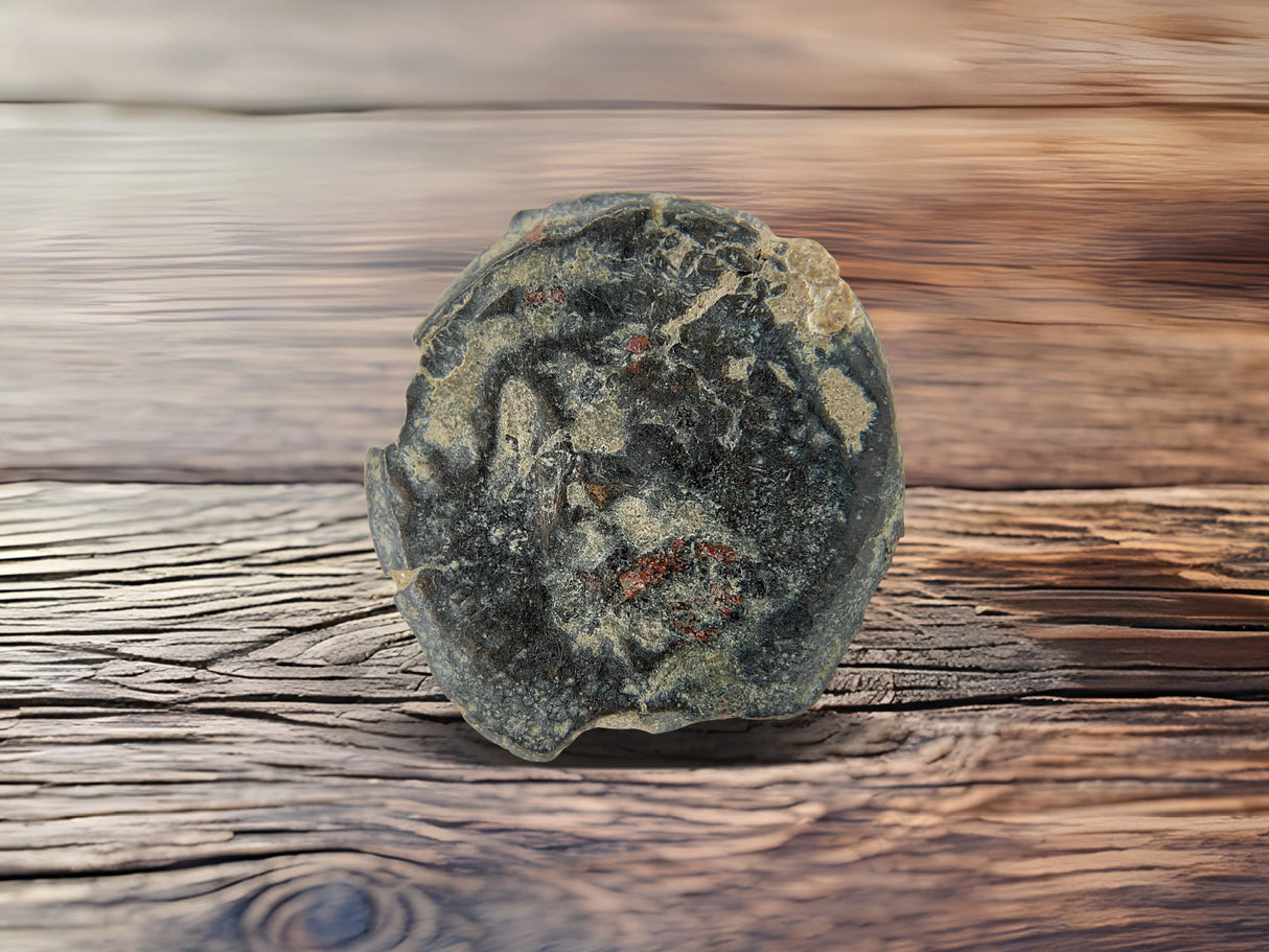 Herod Agrippa Coins Holy Coins