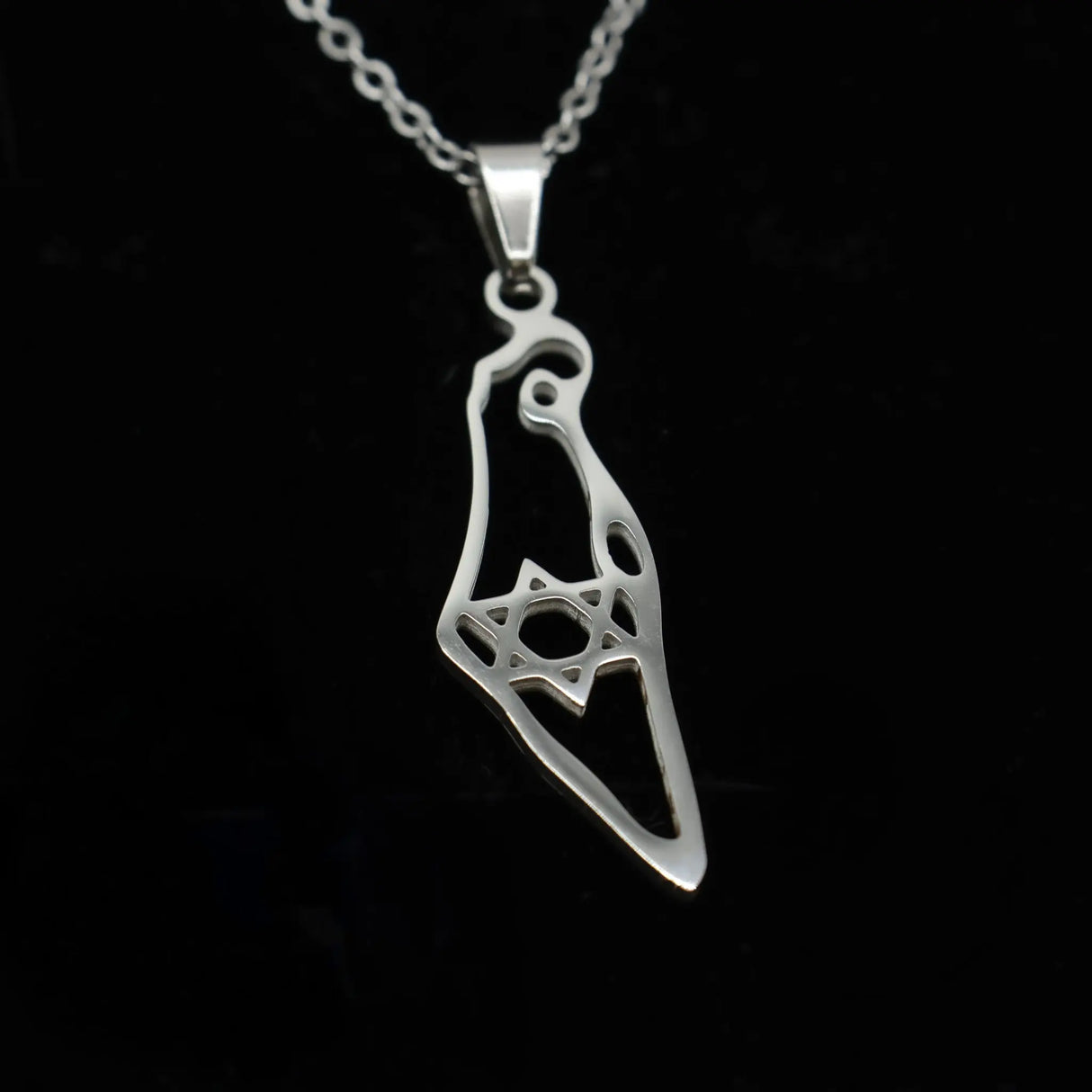 Israel Map with Star of David Necklace - Silver The Israel Store