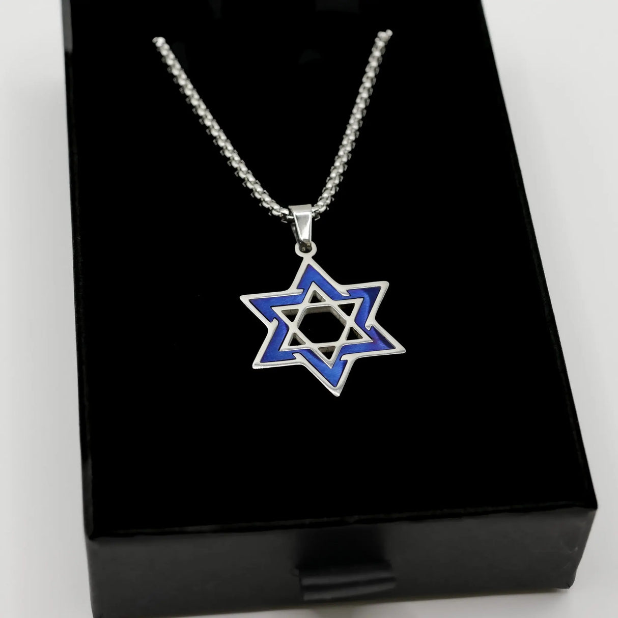 Stainless Steel Star of David Necklace with Blue Enamel Accent The Israel Store