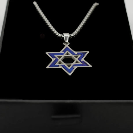 Stainless Steel Star of David Necklace with Blue Enamel Accent The Israel Store