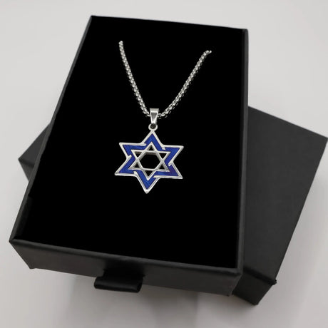 Stainless Steel Star of David Necklace with Blue Enamel Accent The Israel Store