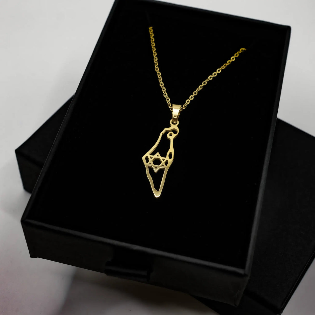 Israel Map with Star of David Necklace - Gold The Israel Store