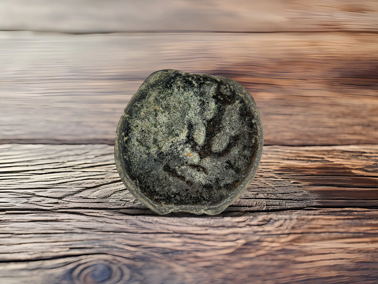 Herod Agrippa Coins Holy Coins