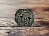 Herod Agrippa Coins Holy Coins