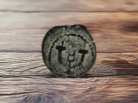 Herod Agrippa Coins Holy Coins