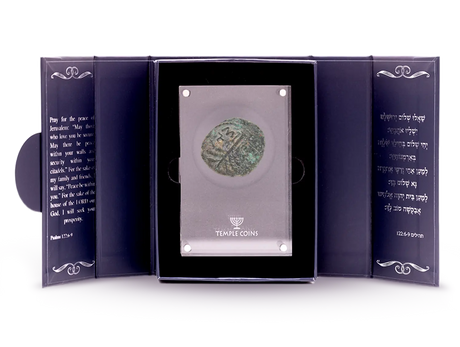 Bar Kokhba Revolt Coins Holy Coins