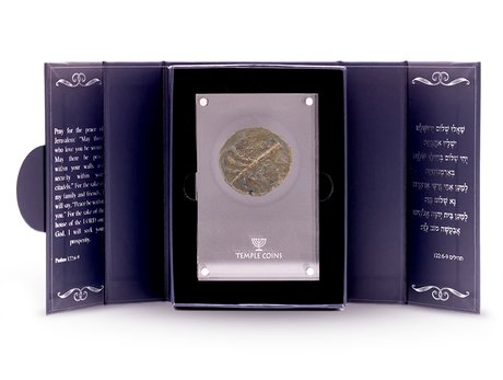 Masada Prutah Coins Holy Coins
