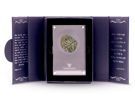 Prutah of Porcius Festus Holy Coins