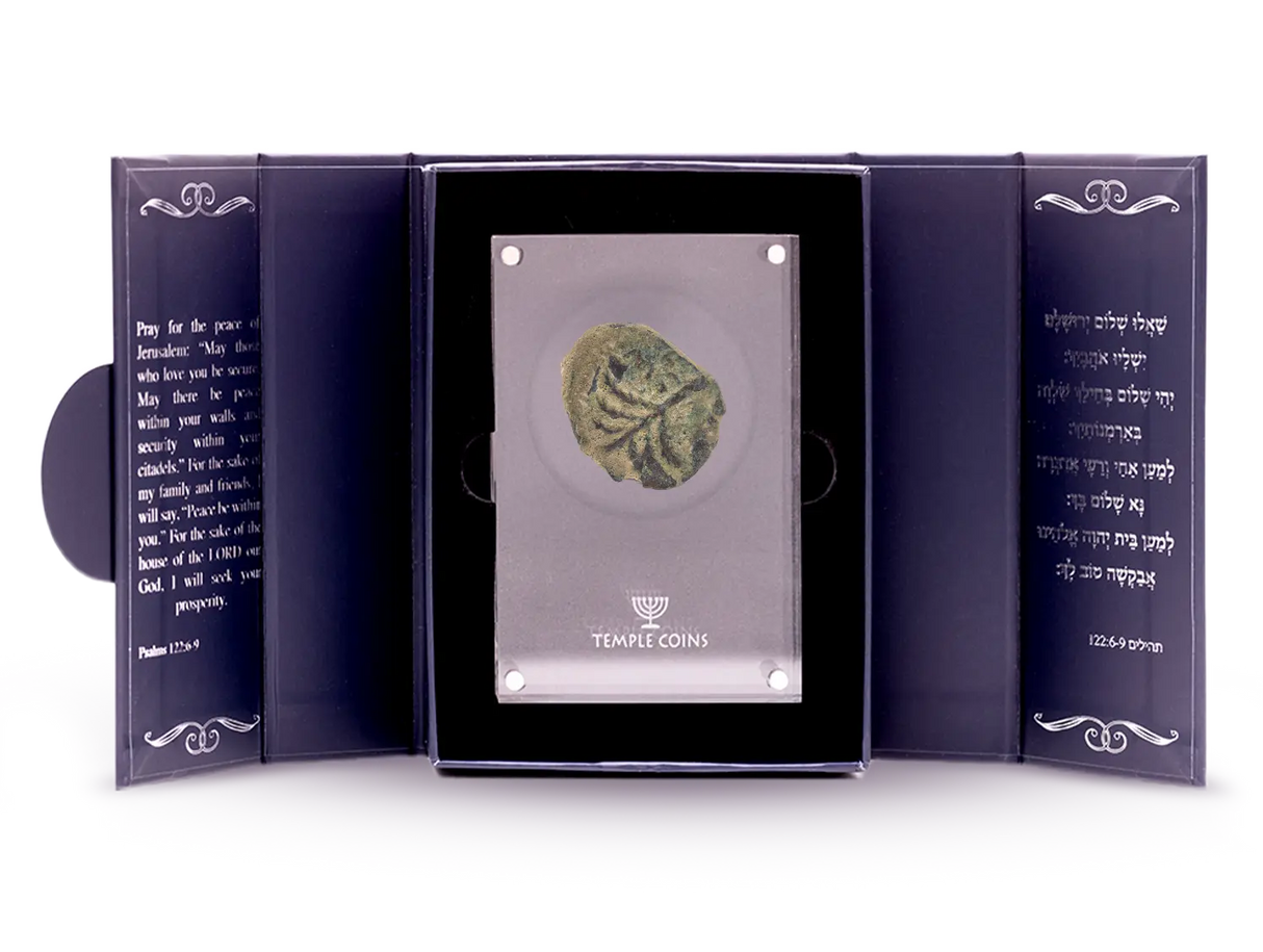 Bar Kokhba Revolt Coins Holy Coins