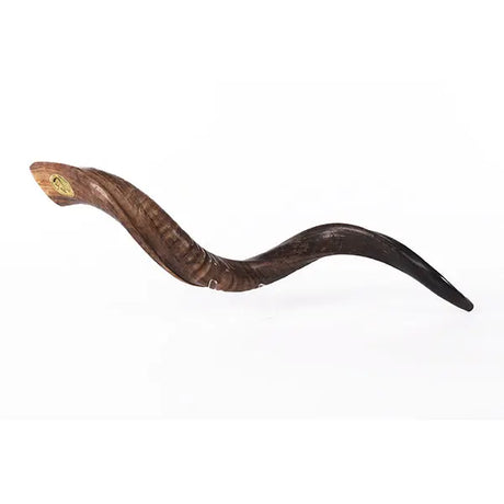 Kudu Shofar Size L - MADE IN ISRAEL The Israel Store