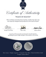 Peace of Heaven Charity Coin Temple Coins