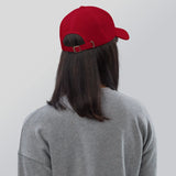 Make Iran Great Again Unisex Hat The Israel Store