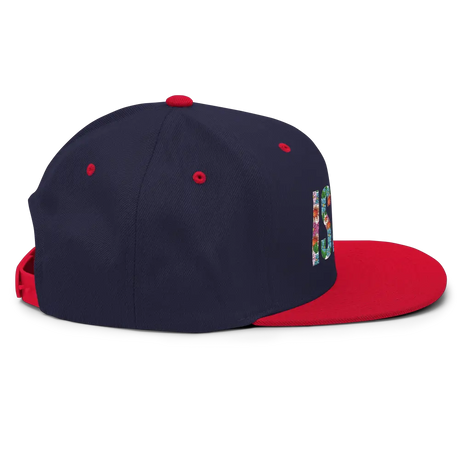 Israel Snapback Unisex Hat The Israel Store