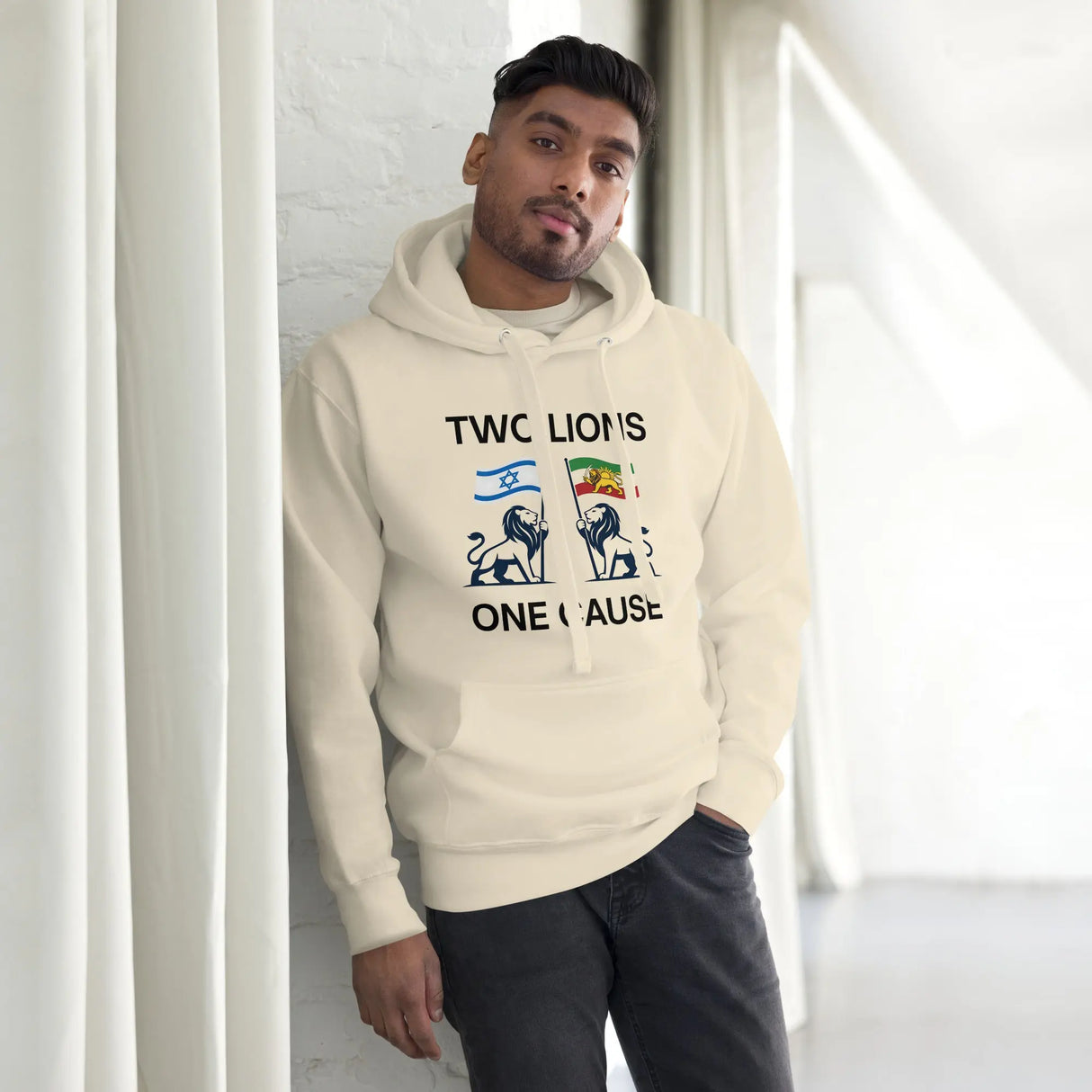 Two Lions One Cause - Iran and Israel - Unisex Hoodie The Israel Store