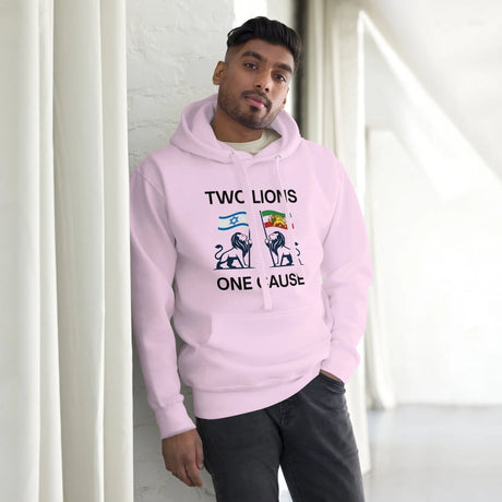 Two Lions One Cause - Iran and Israel - Unisex Hoodie The Israel Store